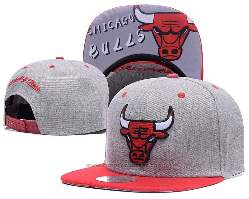 Cappellino Chicago Bulls Grigio Rosso2